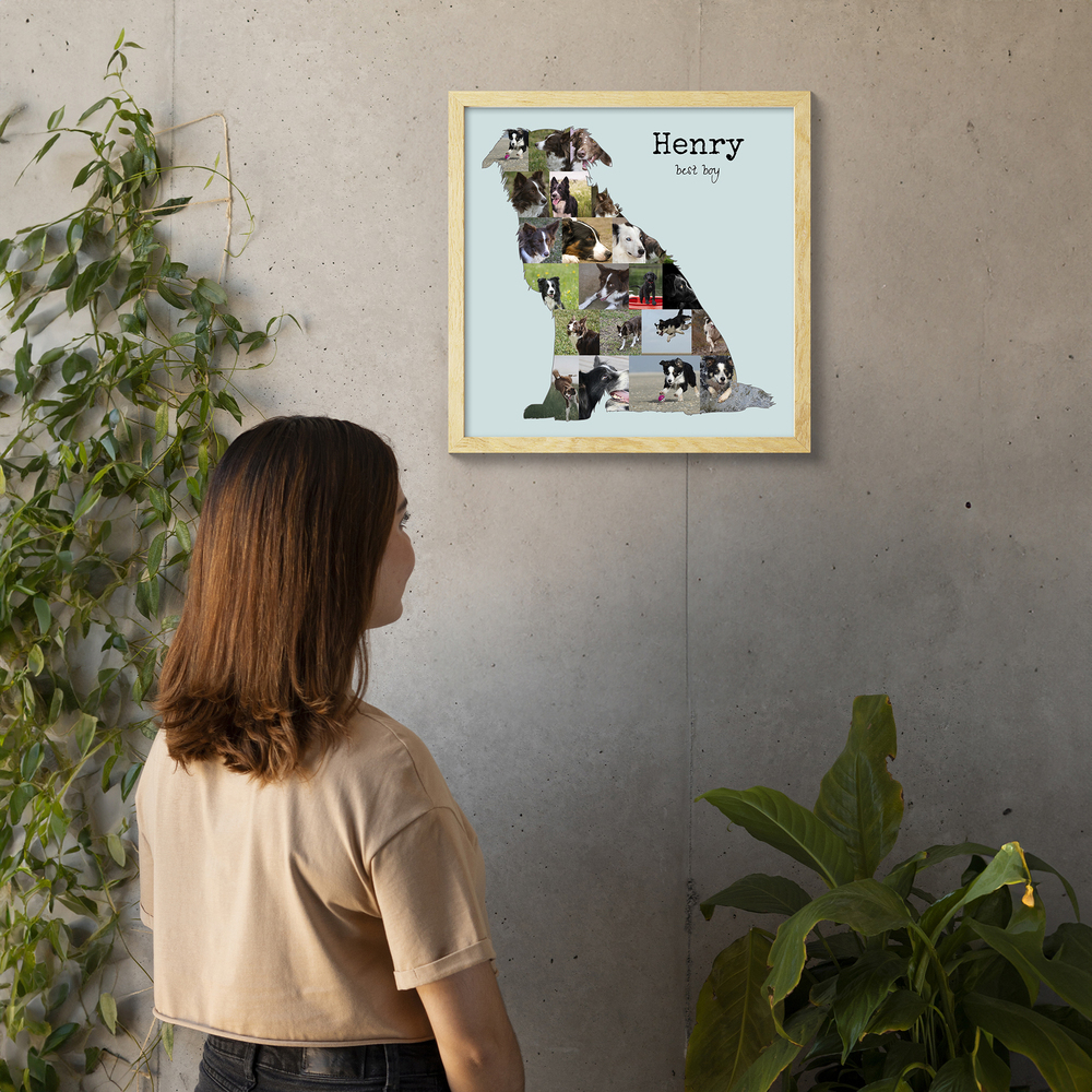 Collage di foto personalizzato a forma di Border Collie seduto, con cornice in legno chiaro su una parete in cemento