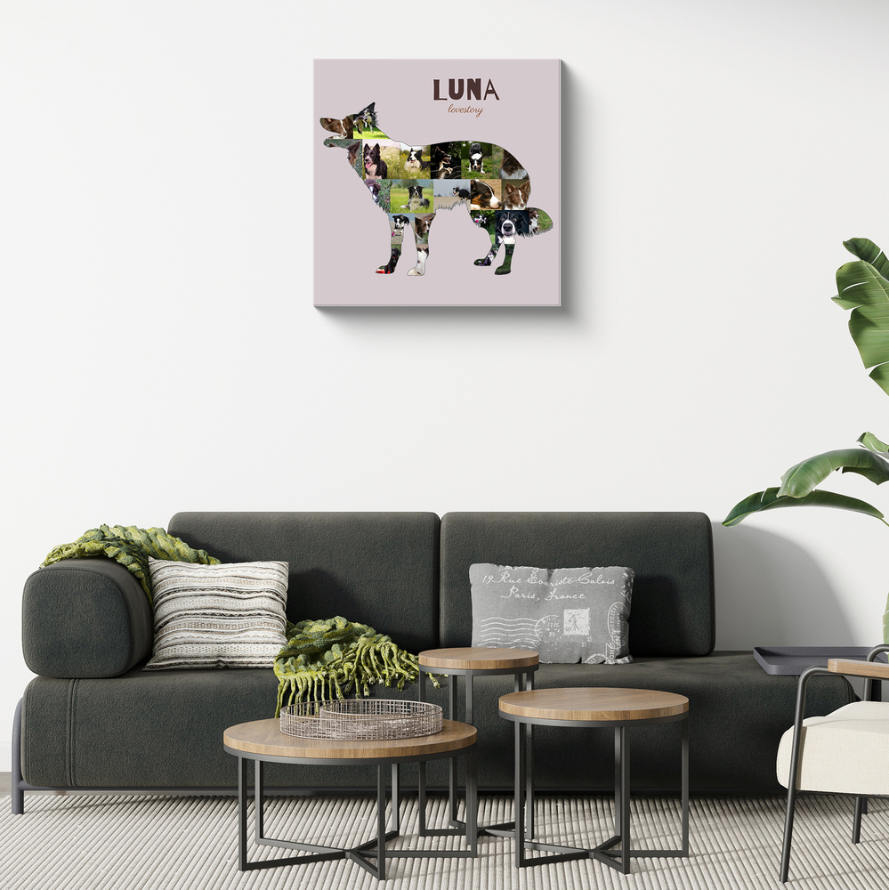 Collage di foto su tela con sagoma di Border Collie in piedi e nome su fondo rosa cipria, sopra un divano scuro