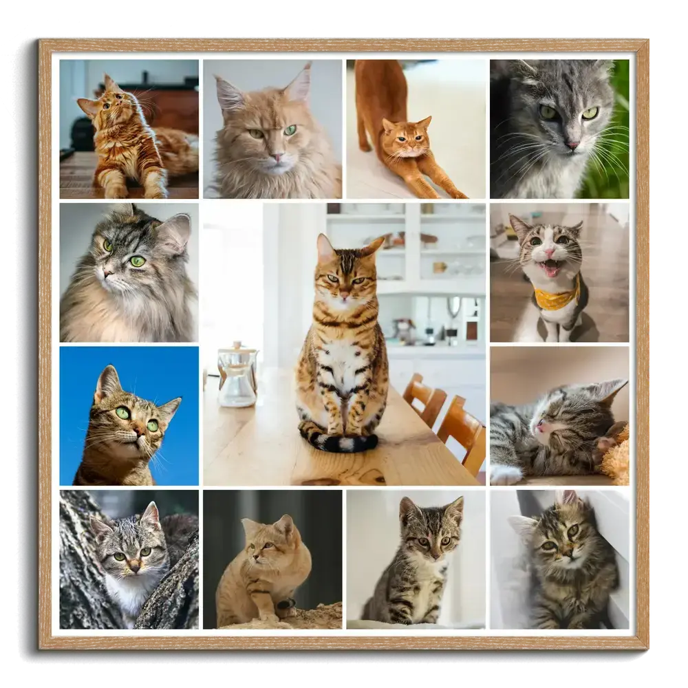 Collage di foto di gatti con cornice in legno naturale e grande foto centrale, regalo per chi ama i gatti
