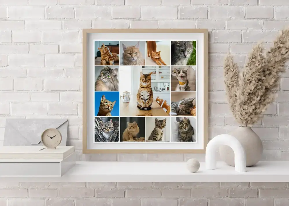Collage di foto di gatti con grande foto centrale e cornice in legno chiaro su una mensola davanti a un muro di mattoni