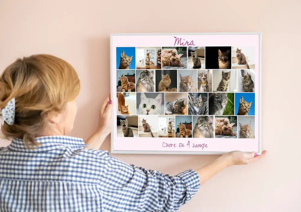 Collage di foto di gatti con nome e dedica su fondo rosa, in cornice bianca su una parete color pesca