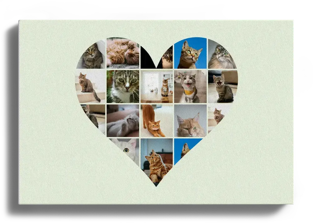 Tela orizzontale con foto di gatti disposte a cuore su fondo verde chiaro, per chi ama i gatti