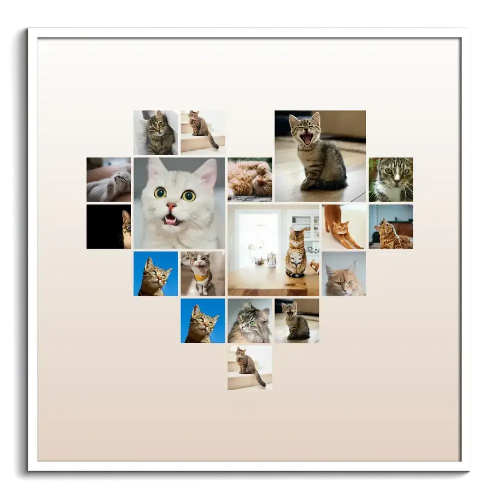 Collage di foto di gatti a forma di cuore su sfondo sfumato beige, in cornice bianca, regalo per chi ama i gatti