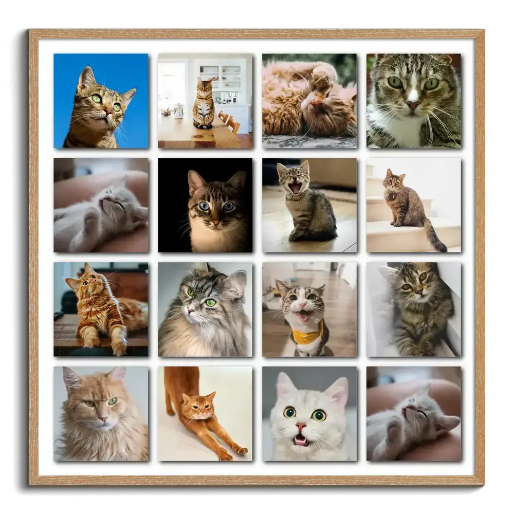 Collage di 16 foto di gatti in una griglia con ombre e cornice in legno naturale, regalo per chi ama i gatti