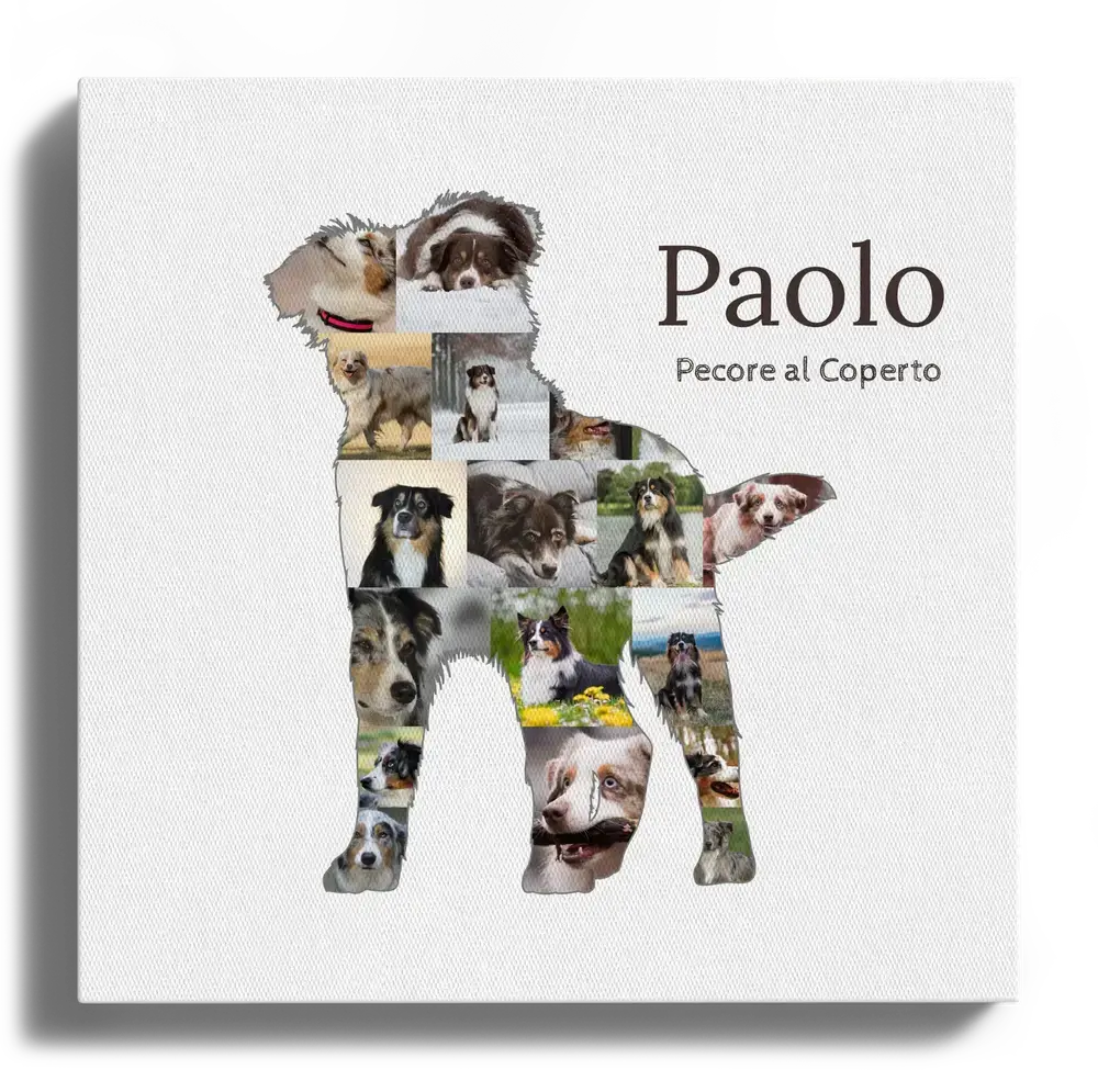 Collage di foto su tela con sagoma di pastore australiano in piedi, nome e frase su fondo bianco
