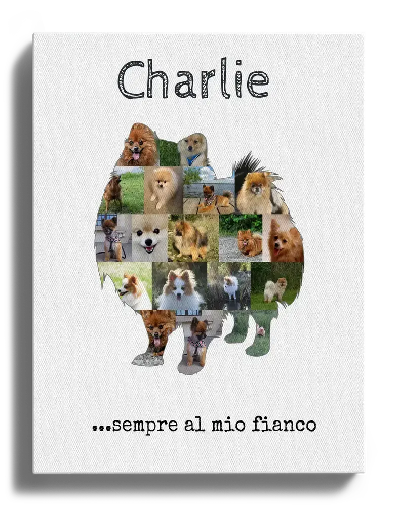 Tela con collage di foto nella sagoma di uno spitz nano in piedi, con nome e frase su fondo bianco