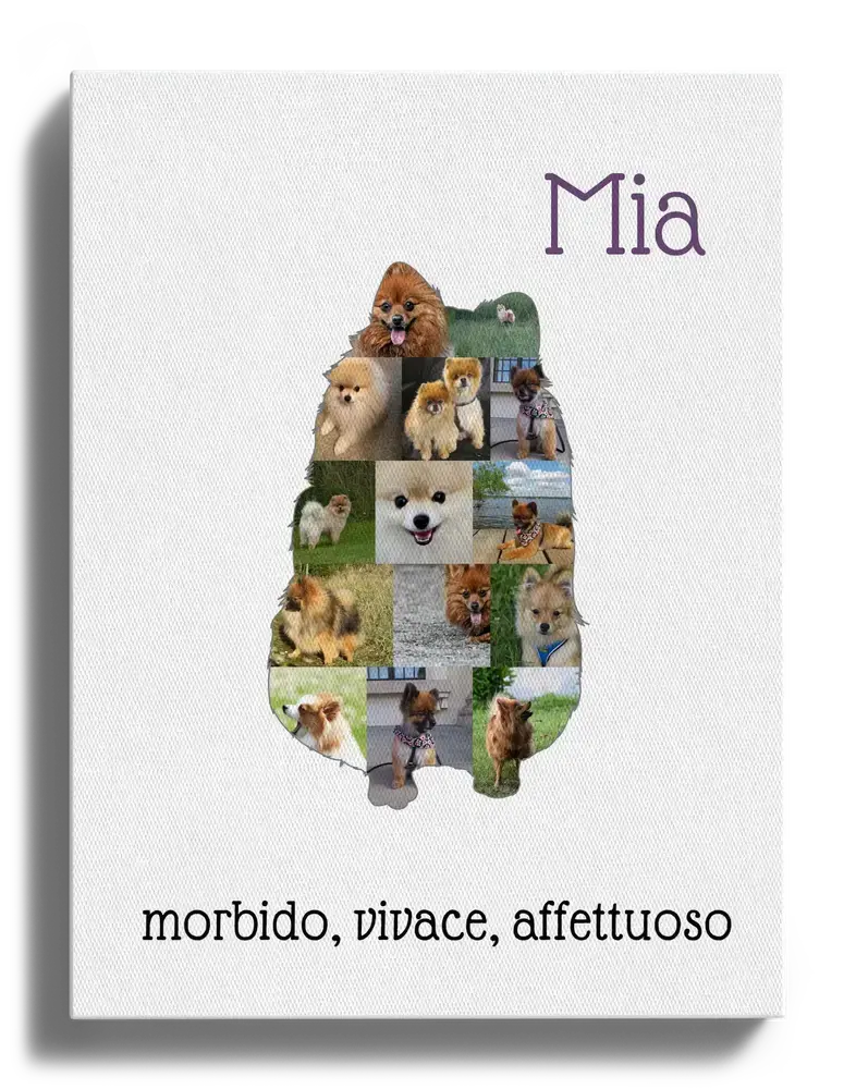 Collage su tela con silhouette di spitz nano seduto, composta da foto e personalizzata con nome e frase