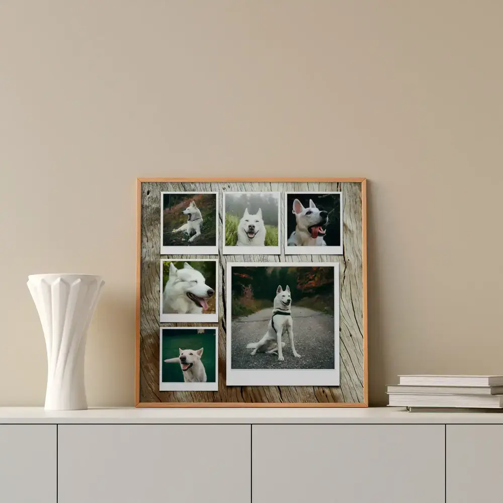 Collage incorniciato con sei foto di un pastore bianco in stile Polaroid, su una credenza bianca accanto a un vaso