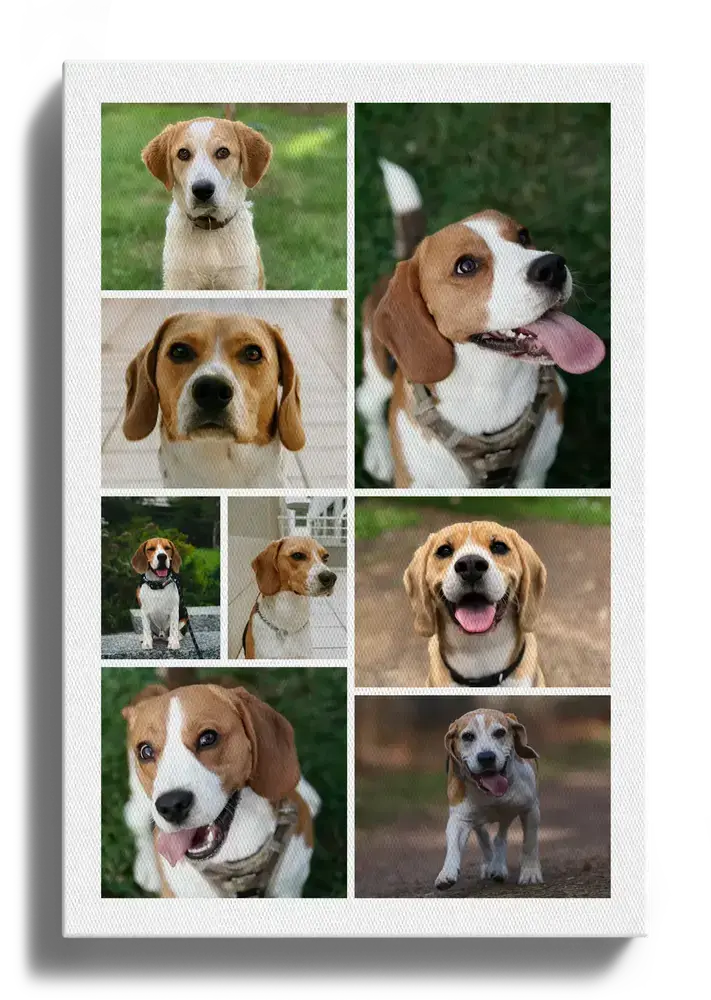 Collage di foto di beagle su tela verticale, con griglia di riquadri diversi, regalo per chi ama i cani