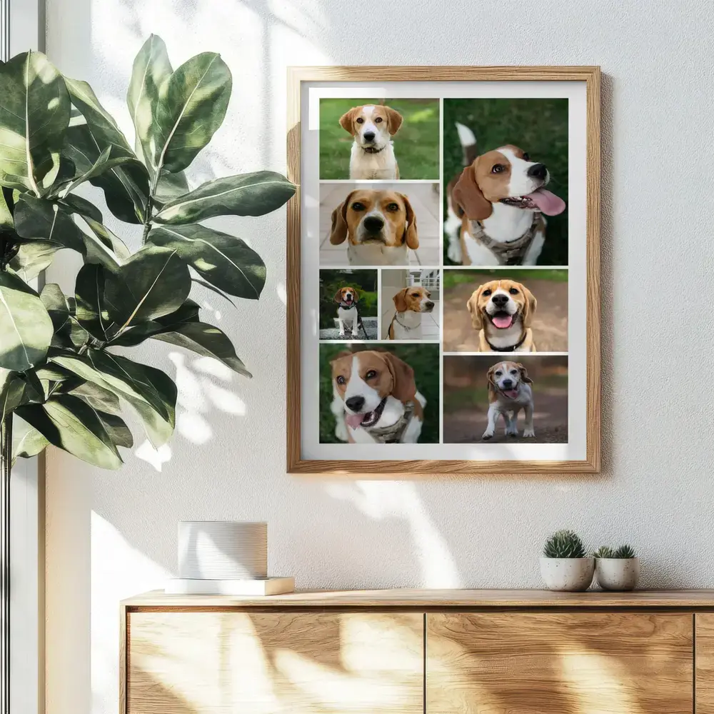 Collage di foto di beagle in una griglia varia, con cornice in legno sopra una credenza accanto a una pianta