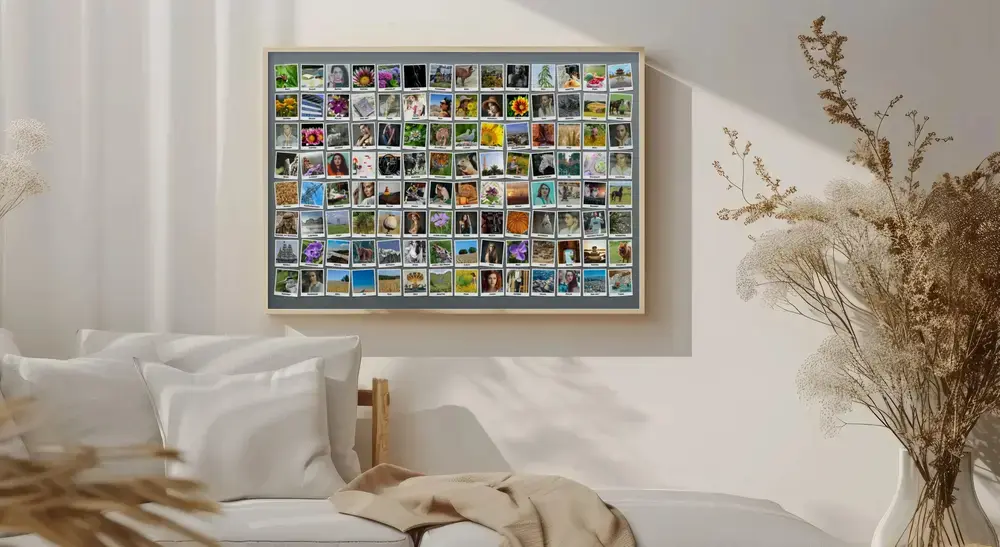 Collage incorniciato con tante foto stile Polaroid e didascalie su fondo grigio, alla parete accanto a fiori secchi