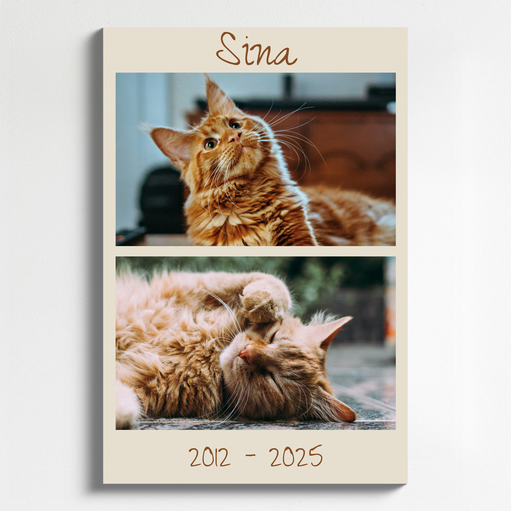 Collage di foto in ricordo di un gatto su tela verticale, con nome e anni di vita su fondo beige