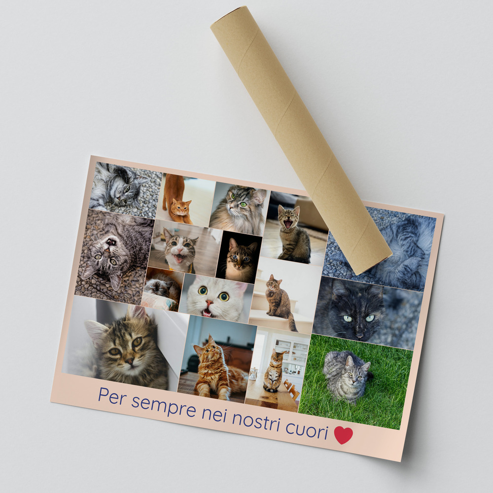 Poster orizzontale con collage di foto in memoria di un gatto, dedica e cuore rosso, accanto a un tubo da spedizione