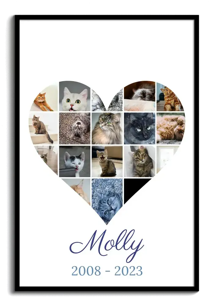 Collage di foto a cuore in memoria di un gatto, con nome e anni di vita, in cornice nera