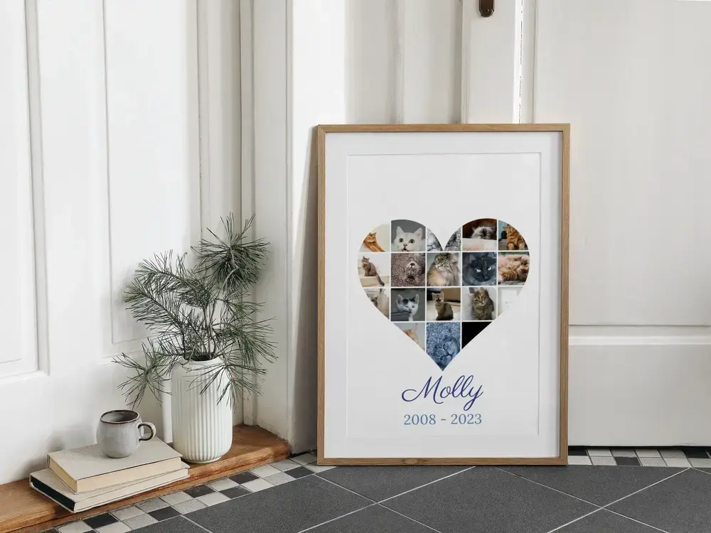 Collage a cuore in ricordo di un gatto, con nome e date, in cornice di legno sul pavimento accanto a un vaso