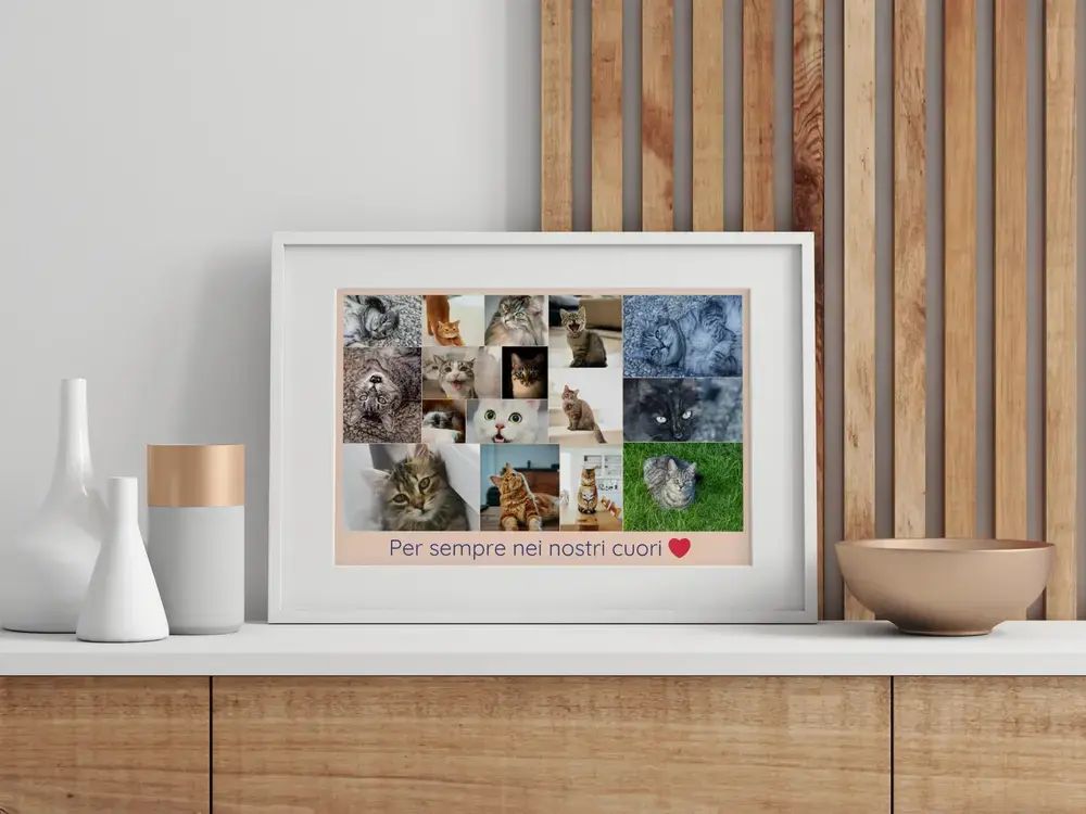 Collage di foto in ricordo di un gatto con dedica, in cornice bianca su una credenza davanti a listelli di legno