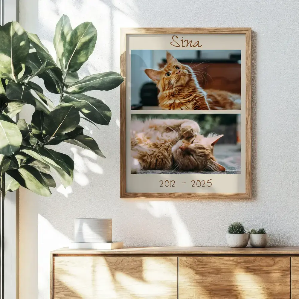 Collage in memoria di un gatto con nome e date, in cornice di legno naturale sopra una credenza accanto a una pianta