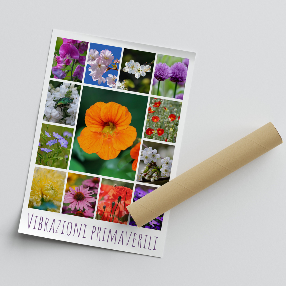 Poster con collage di foto di fiori, grande fiore arancione e scritta primaverile, accanto a un tubo di cartone
