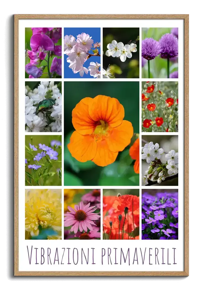 Collage di foto di fiori in cornice di legno naturale, con un grande fiore arancione al centro e una scritta primaverile