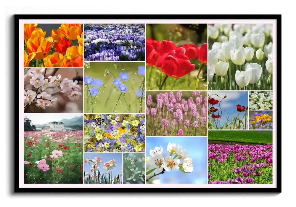 Collage fotografico orizzontale con tulipani, prati fioriti e fiori sugli alberi, in cornice nera