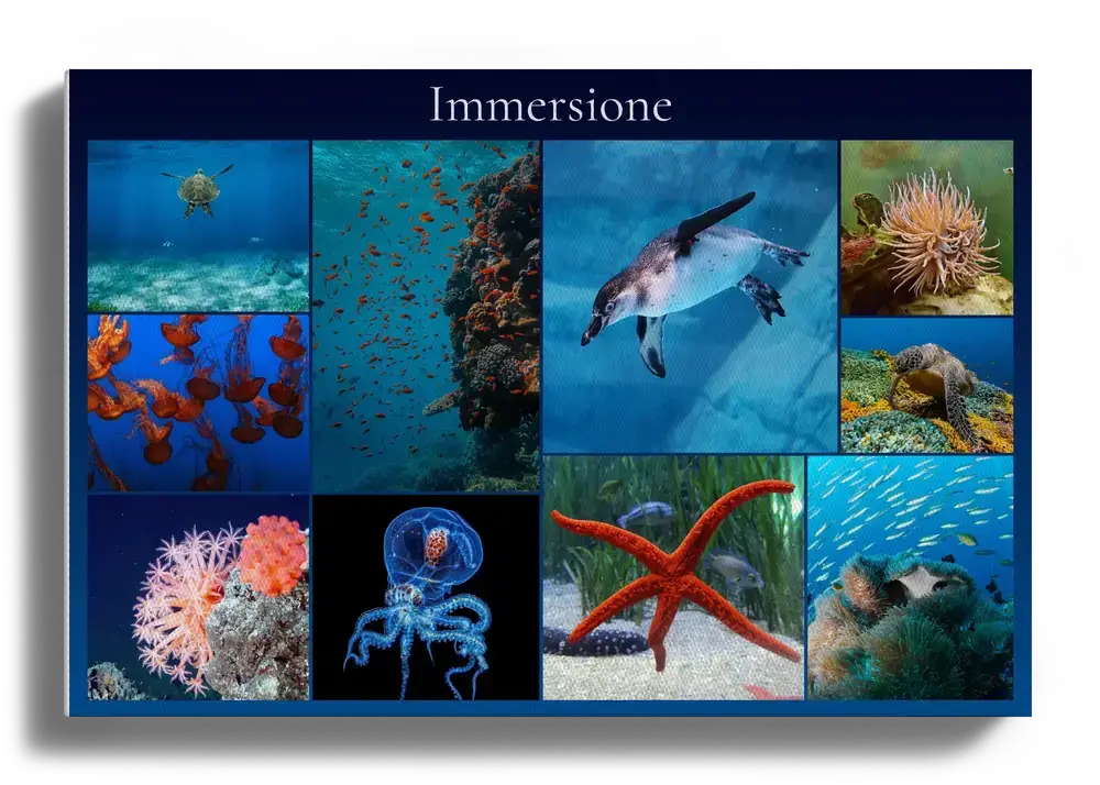Collage di foto subacquee su tela con pinguino, meduse e stella marina, su fondo blu scuro con titolo