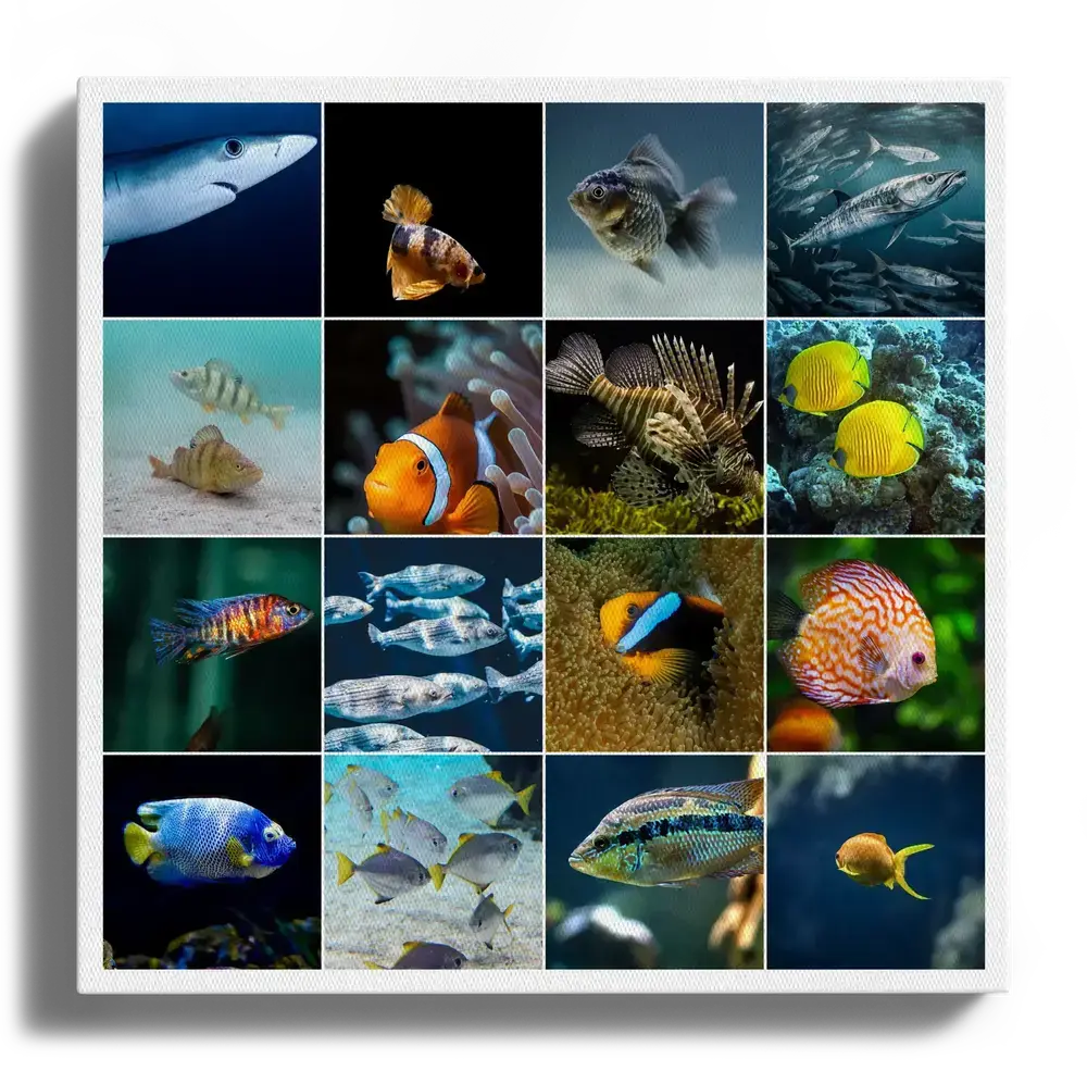 Collage fotografico su tela con pesci colorati di barriera e d’acquario, in griglia verticale con spazi bianchi