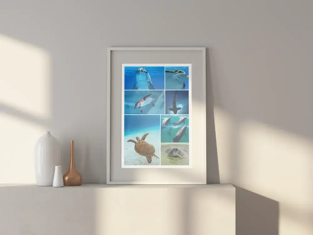 Collage verticale di foto di animali marini incorniciato, su una credenza chiara accanto a vasi decorativi