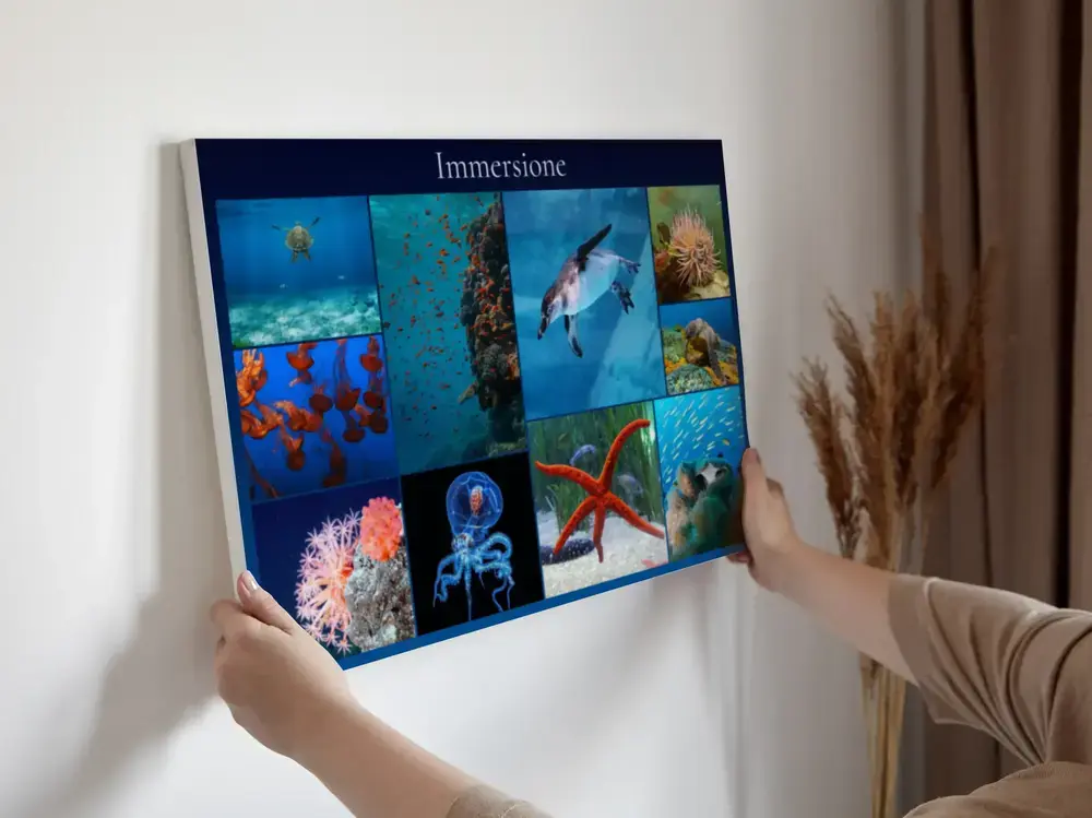 Collage fotografico orizzontale di animali marini con titolo, su una parete bianca accanto alle tende
