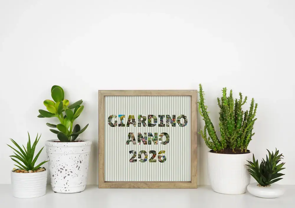 Fotocollage con lettere e anno riempiti di foto del giardino, su fondo a righe, in cornice di legno tra piante