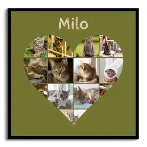 Collage a cuore con foto del tuo gatto – crea ora e personalizza testo o nome