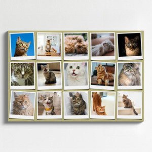 Collage Polaroid del tuo gatto dalle tue foto - crea ora con testi e nome personalizzati
