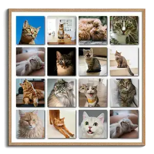 Collage Polaroid del tuo gatto dalle tue foto - crea ora con testi e nome personalizzati