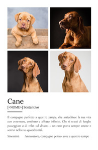 Crea il tuo poster "Definizione Cane" personalizzato con foto e testo!