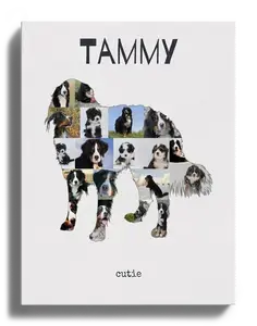 Crea la tua Collage Berner con Foto del tuo Cane e Testo Personalizzato