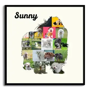 Crea la tua Collage Bolonka Zwetna: Personalizza foto e testo