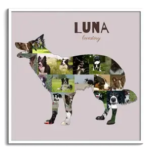 Crea una Collage Border Collie: immortala il tuo cane con foto e testo personalizzato