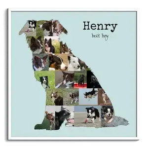 Crea una Collage Border Collie: immortala il tuo cane con foto e testo personalizzato