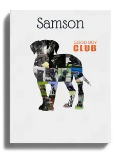 Crea la tua Silhouette Cane Corso Personalizzata con Foto e Testo