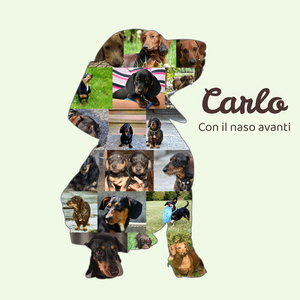 "Crea la tua Collage Dackel: Personalizza con 15-20 Foto e Testo Unico per Amanti di Cani"