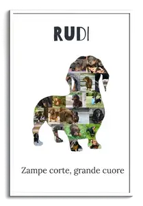 "Crea la tua Collage Dackel: Personalizza con 15-20 Foto e Testo Unico per Amanti di Cani"