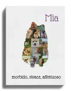 Crea la tua Collage Zwergspitz unica per amore e ricordi!