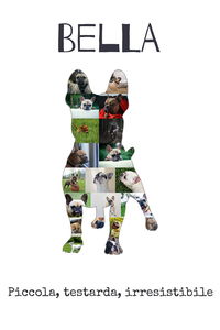 Crea la tua Collage Bulldog Francese Personalizzata