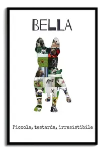 Crea la tua Collage Bulldog Francese Personalizzata