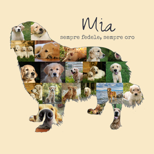 Crea la tua Collage Golden Retriever unica con foto e testo personalizzati!