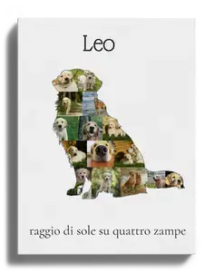 Crea la tua Collage Golden Retriever unica con foto e testo personalizzati!
