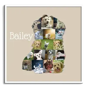 Collage Havanese Personalizzata per Amanti dei Cani - Crea e Ricorda
