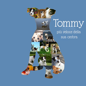 Crea la tua Collage Jack Russell per un ricordo unico del tuo cane!