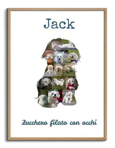 Crea la tua Collage Cane Malteser: Personalizza con 15-20 Foto e Testo