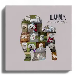 Crea la tua Collage Cane Malteser: Personalizza con 15-20 Foto e Testo