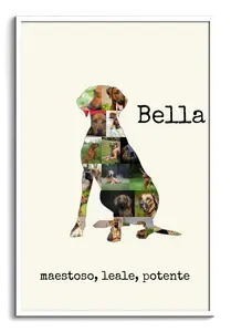 Collage Rhodesian Ridgeback: Crea il tuo ricordo personale